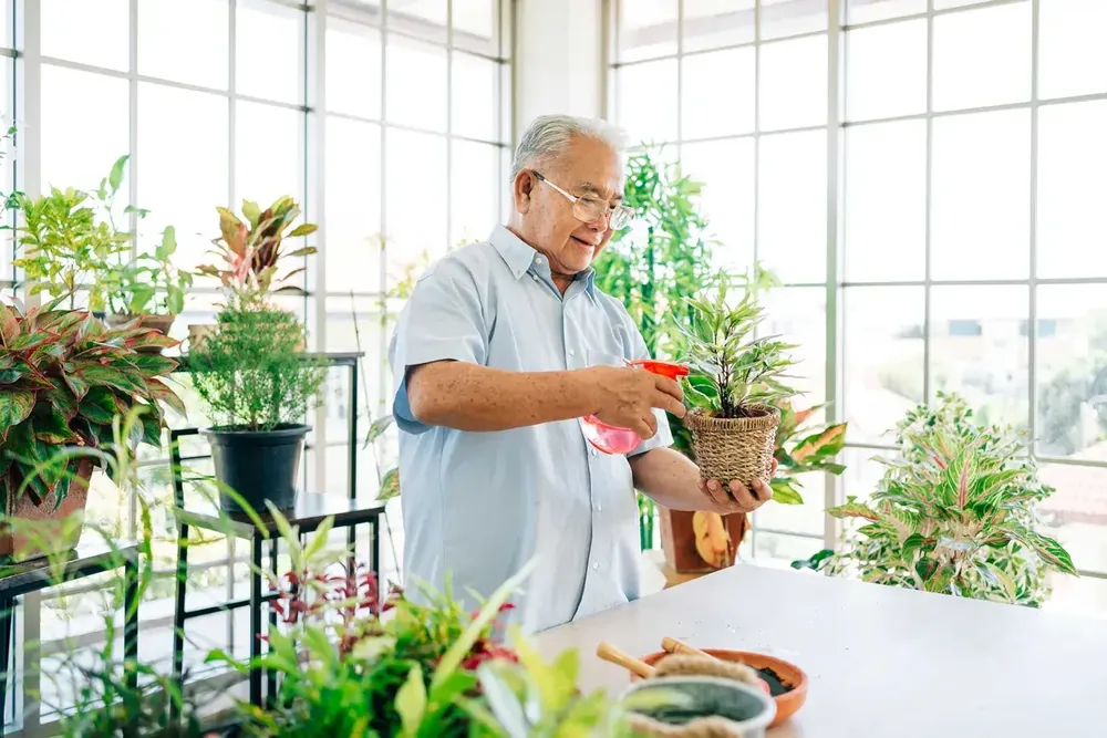 Retired Individuals